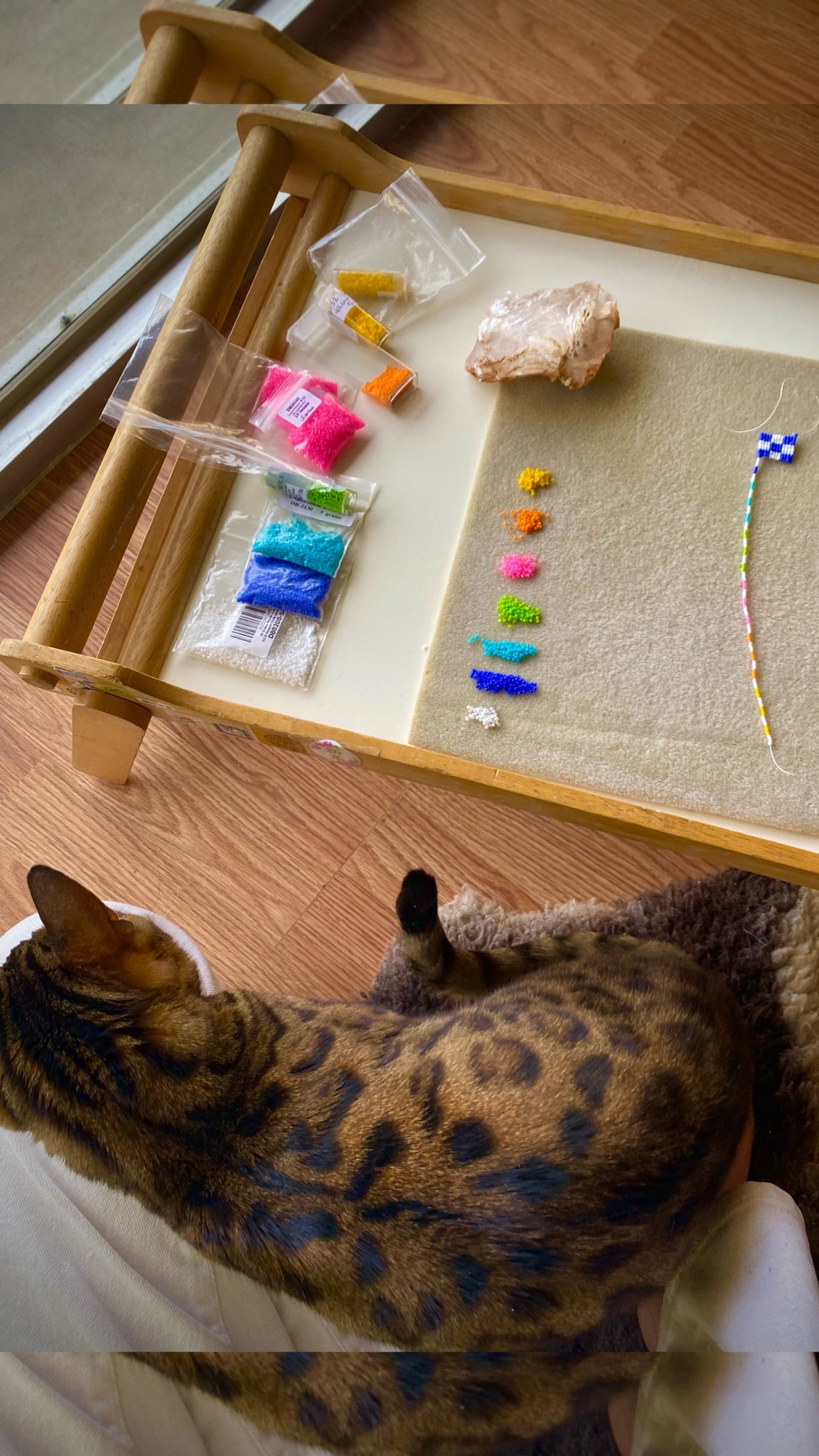 Check HER 👀 She's A Showstoppa Earrings