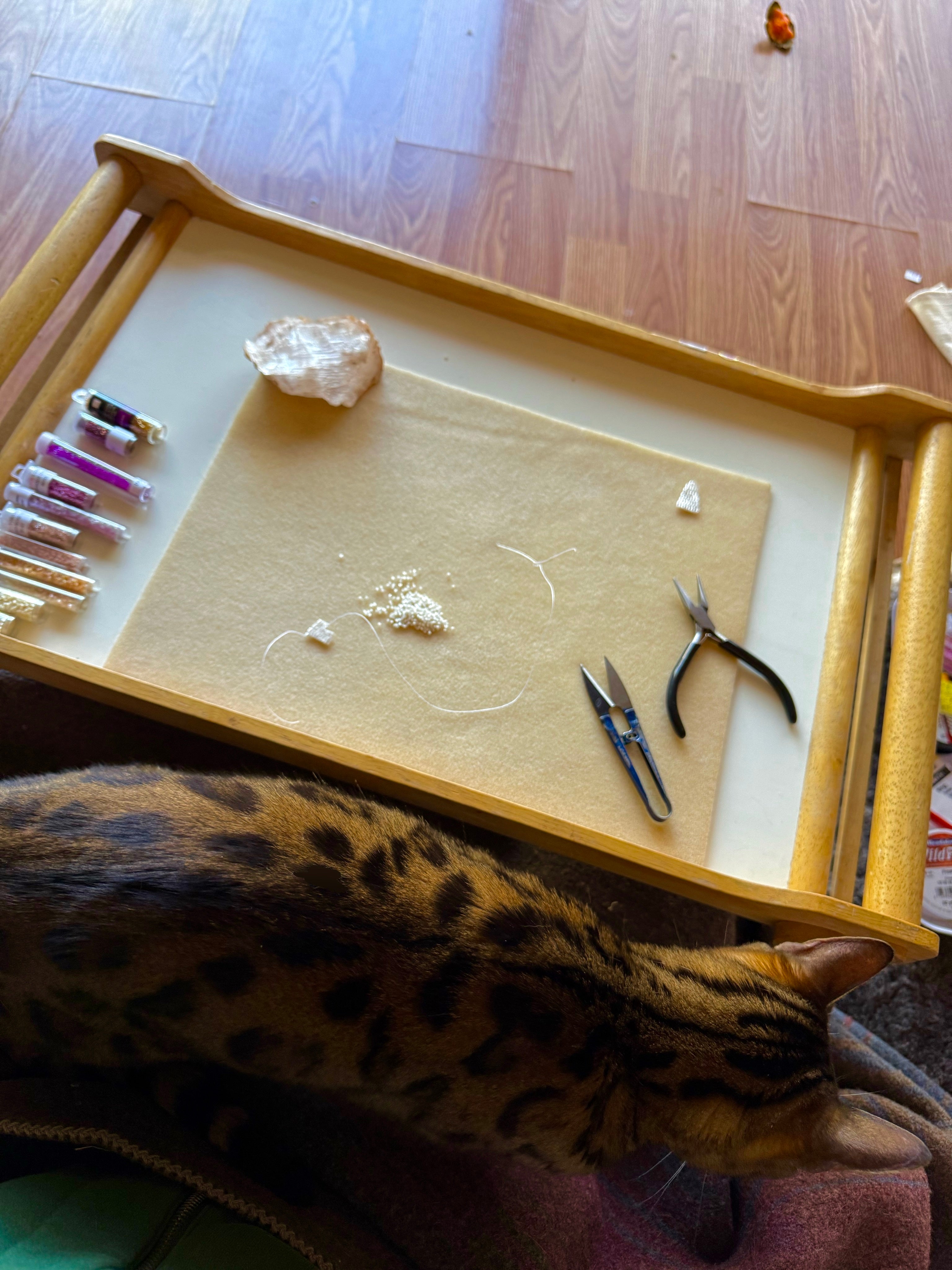 Violet Royalty Reigns Supreme Earrings